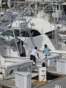 Maybe Manana Cabo San Lucas