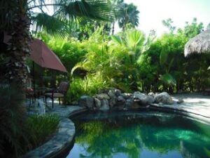 Casita del Mango, rental in Pescadero