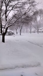 snowy street